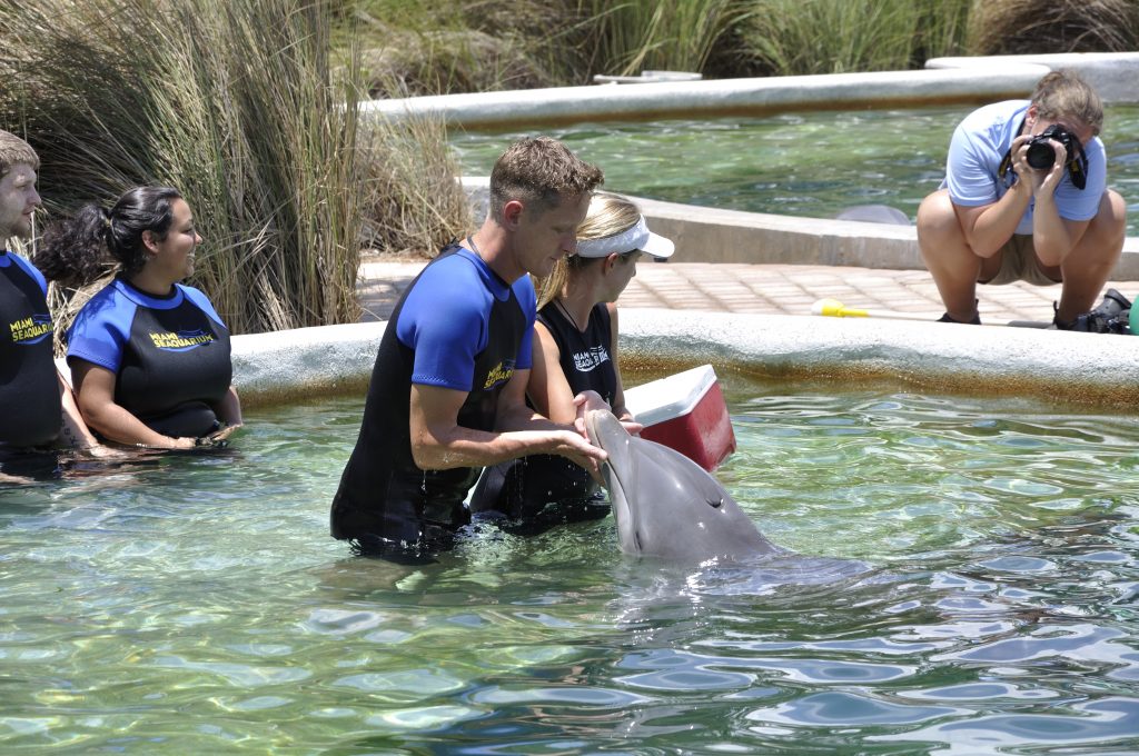 jens-with-the-dolphins