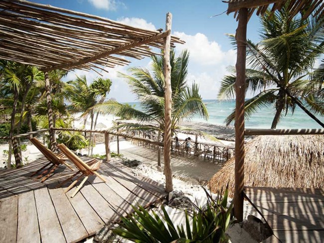 Ashram Papaya_playa_5-650x487