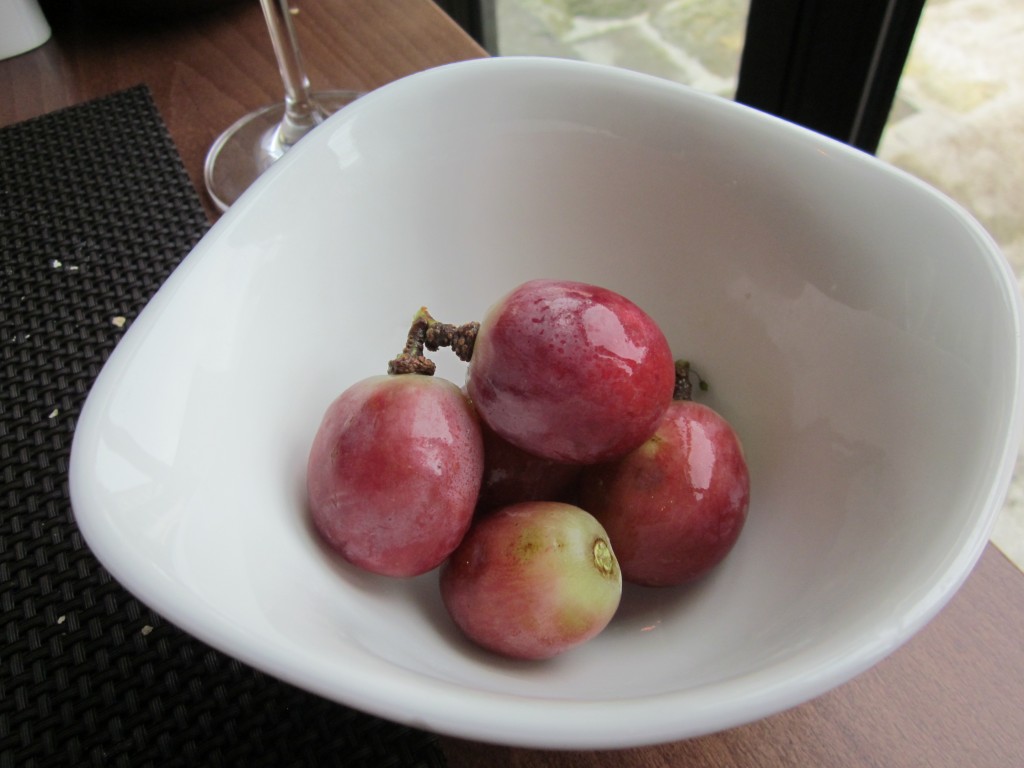 schöne Weintrauben im Aquapura : Porto