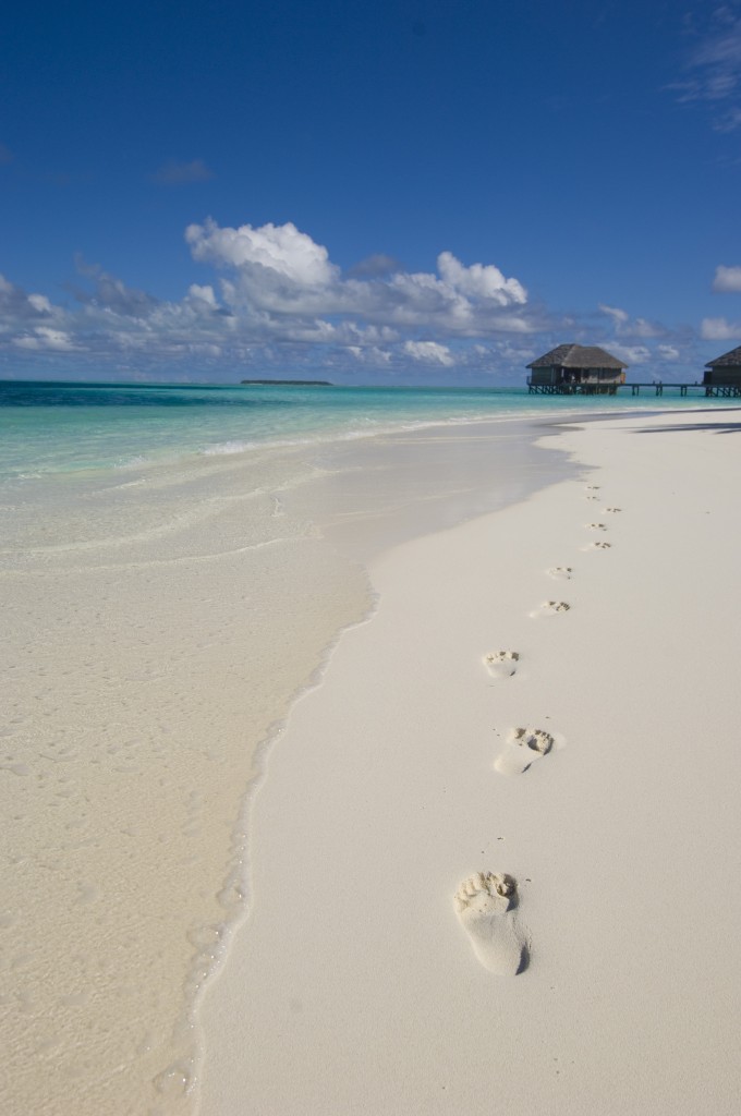 Conrad Maldives (8)-1