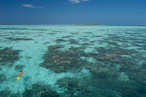 Conrad Maldives_Snorkelling (1)