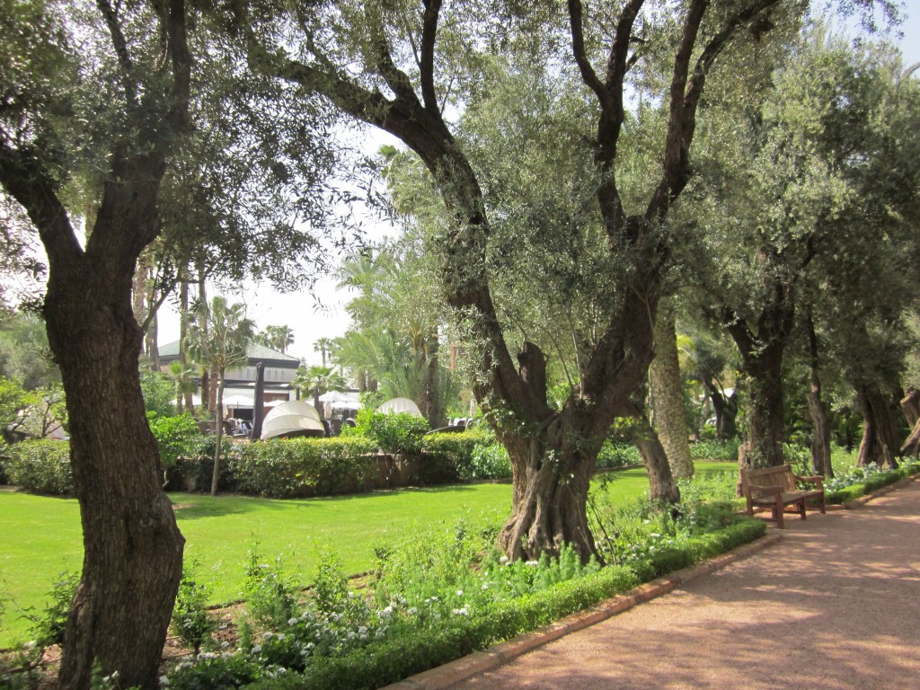 Marrakesh Garten