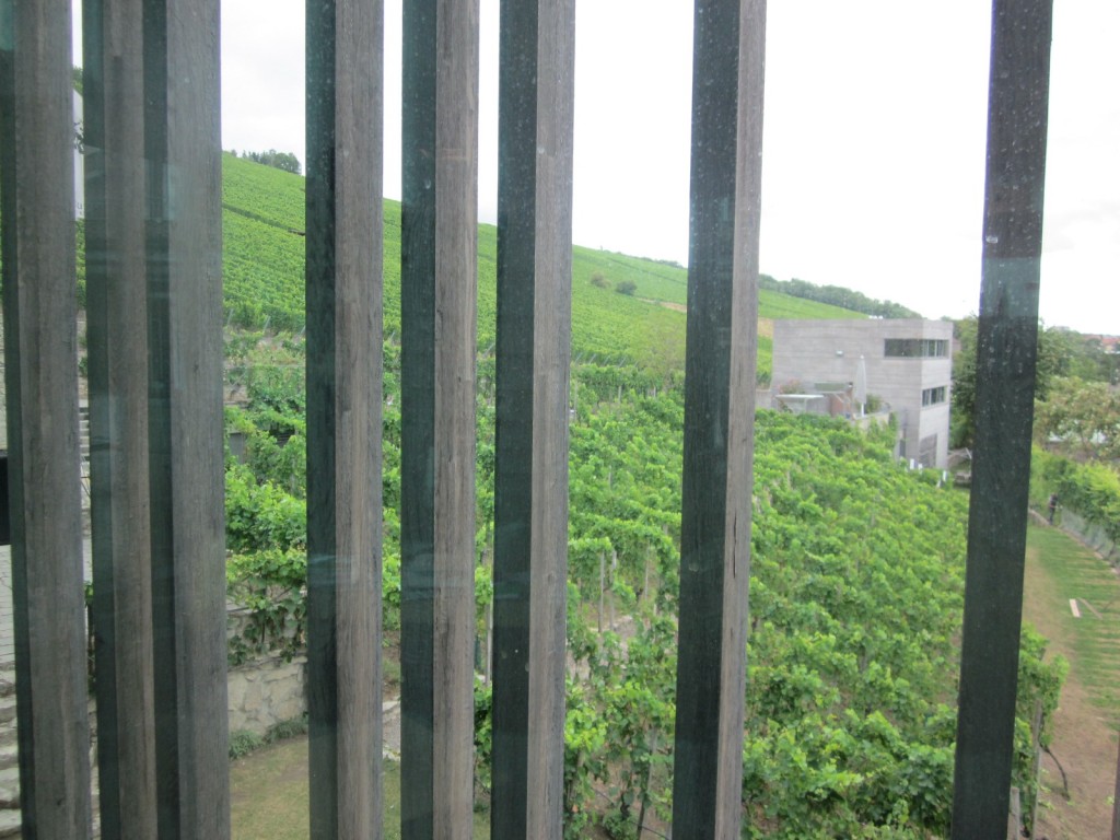 IMG_4262