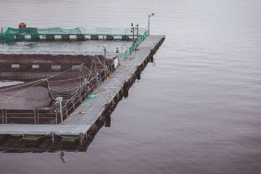 Norway the home of the salmon House & Hotel