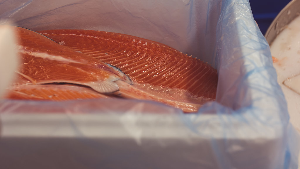 Norway the home of the salmon House & Hotel